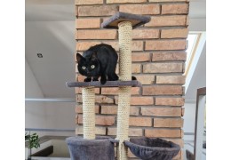 Corde en sisal : le meilleur choix pour un griffoir pour chat